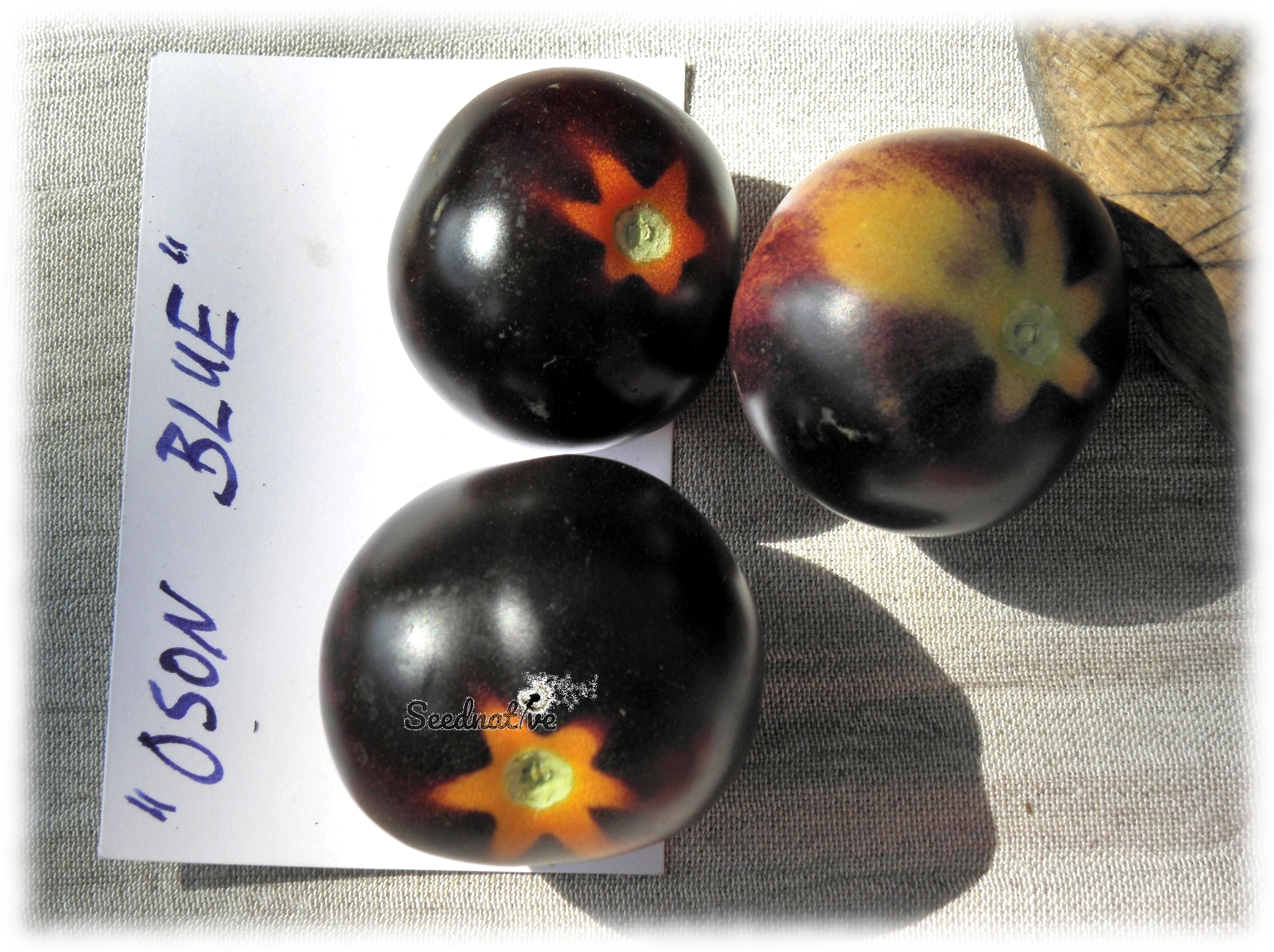 Tomate de Oson blue - Var. Azul Australia - 15 semillas