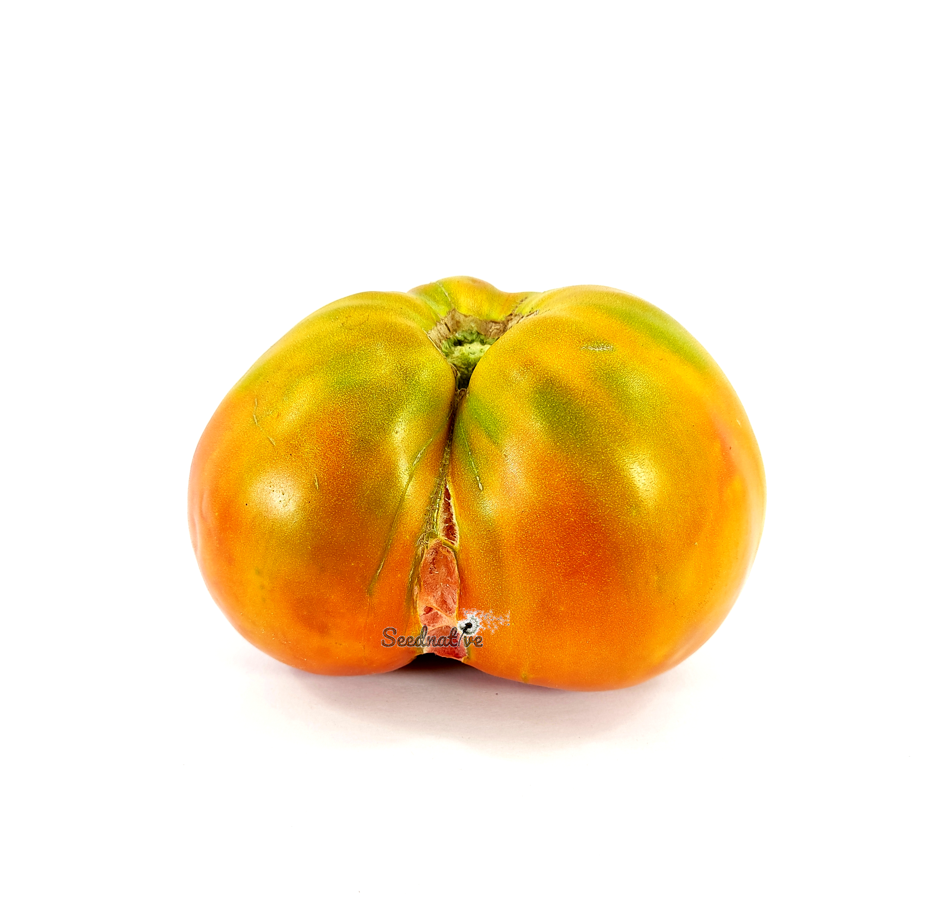 Tomate Mazcuerras - 10 semillas 