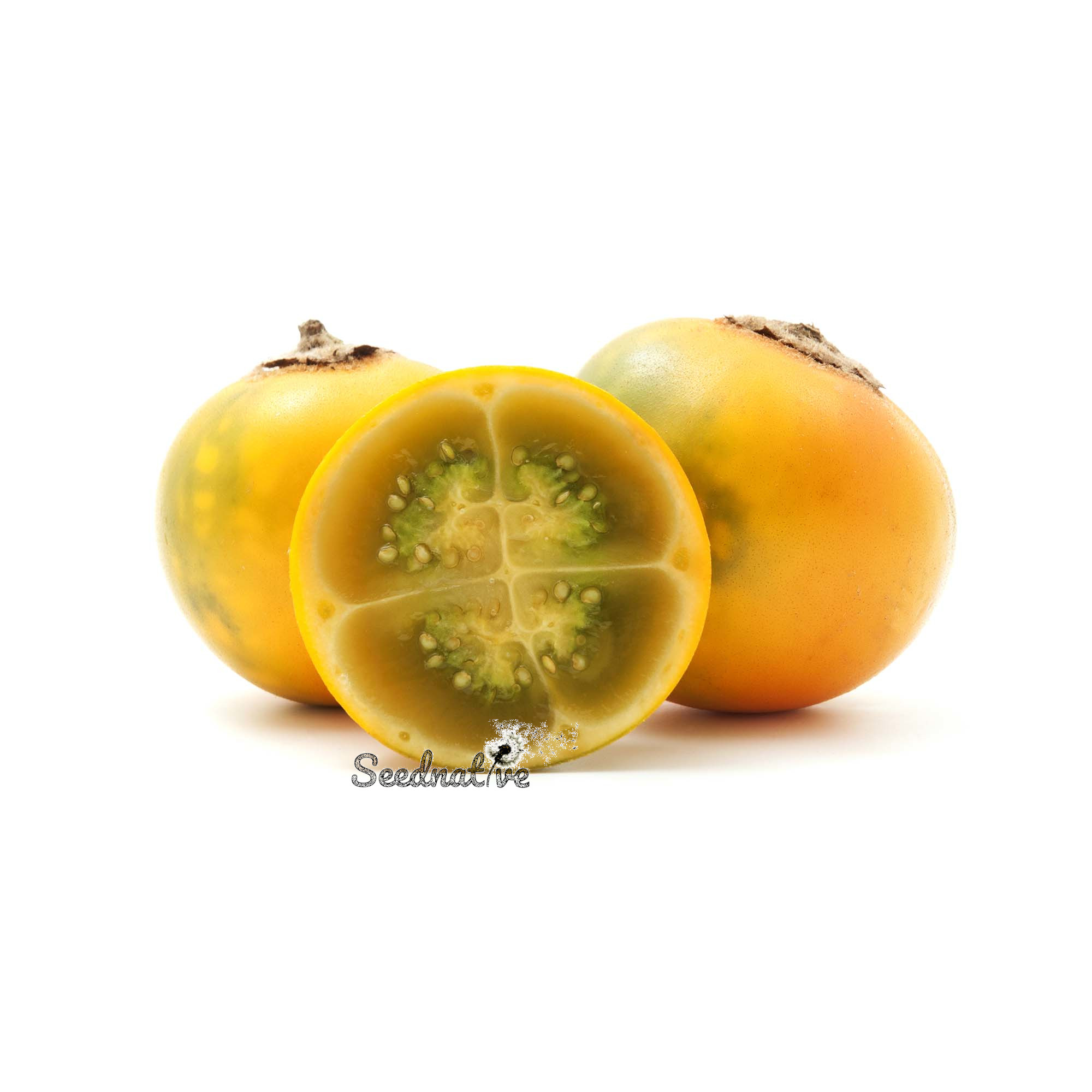 Solanum quitoense - Lulo - 50 semillas - Naranjilla
