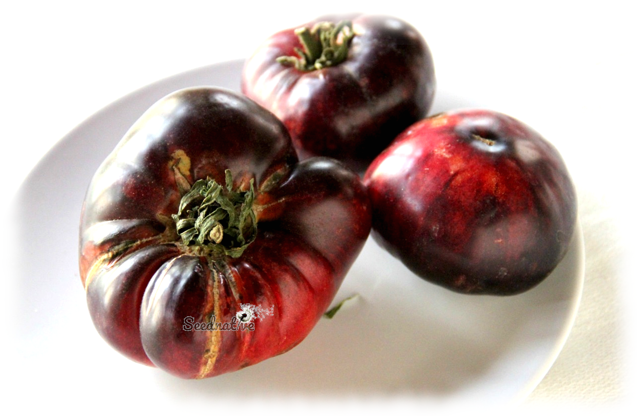Tomate Morao de Granada - 10 semillas 