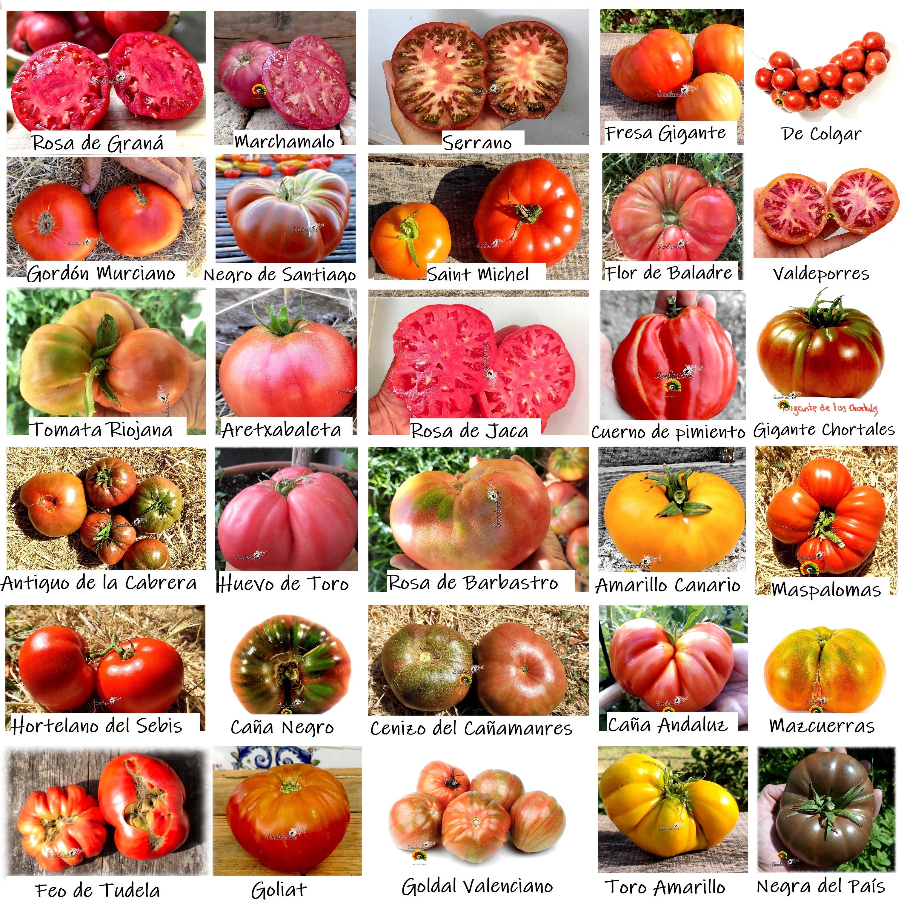 Reliquias de España 