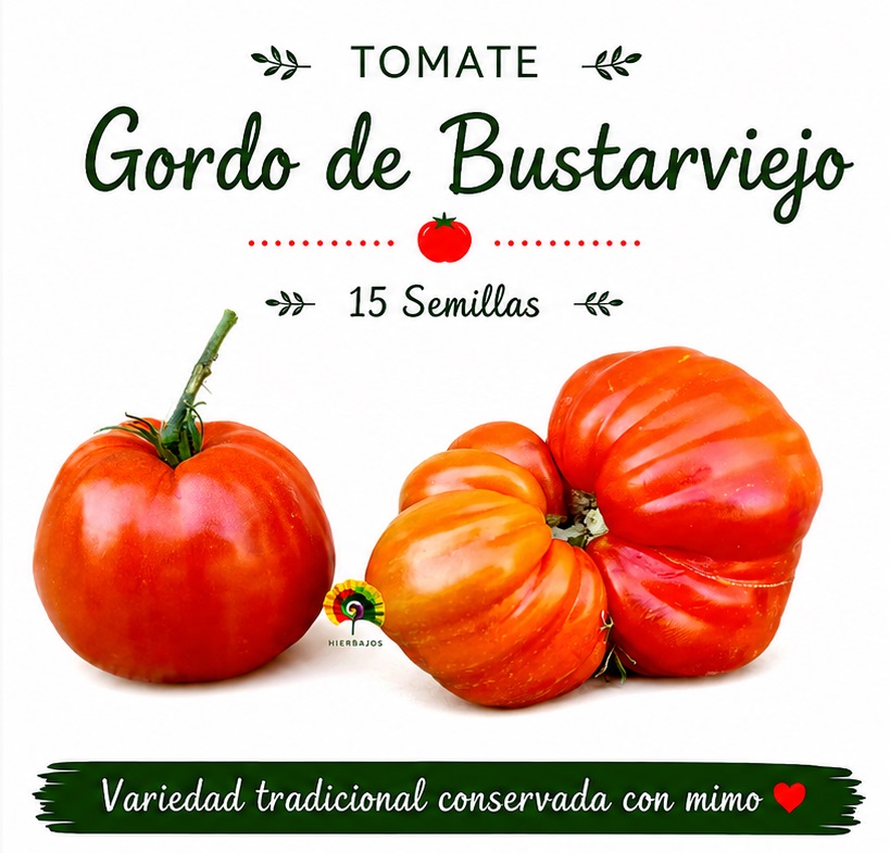 Tomate Gordo de Bustarviejo - 15 semillas