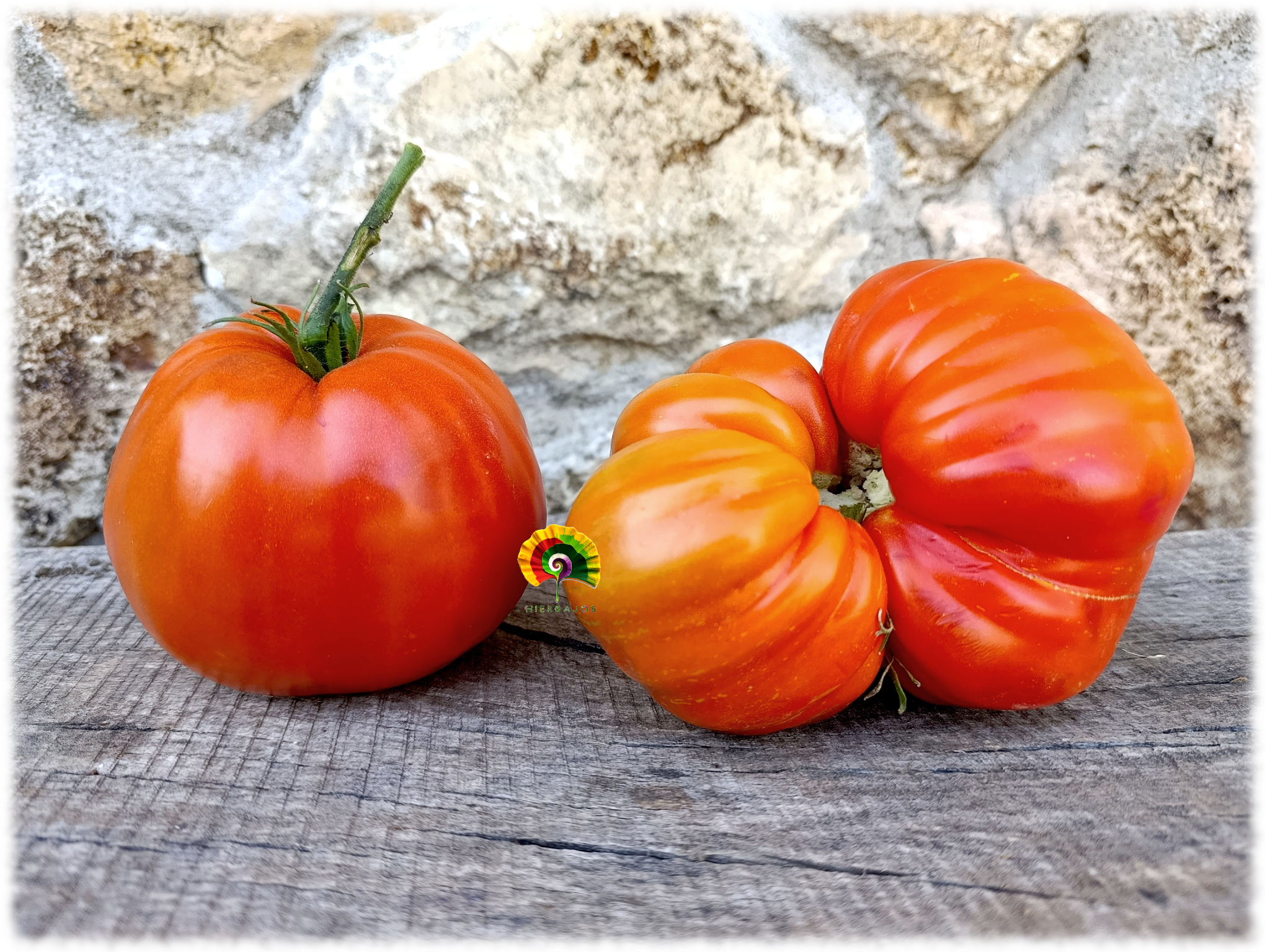 Tomate Gordo de Bustarviejo - 15 semillas