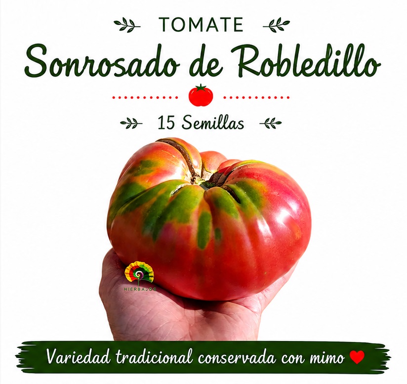 Tomate Sonrosado de Robledillo - 15 semillas