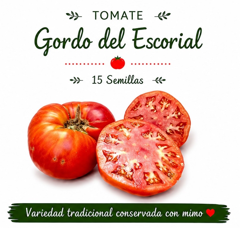 Tomate Gordo de El Escorial - 15 semillas