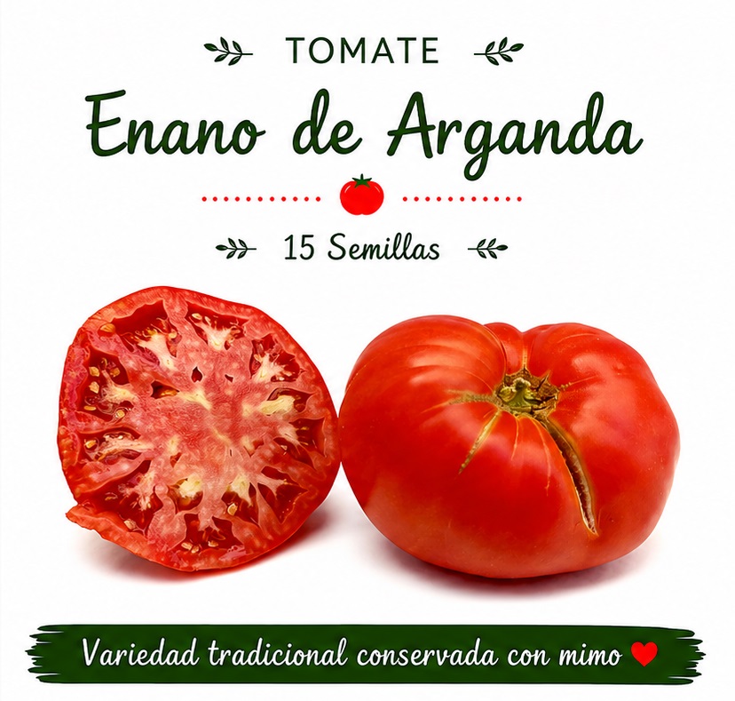 Tomate Enano de Arganda - 15 semillas