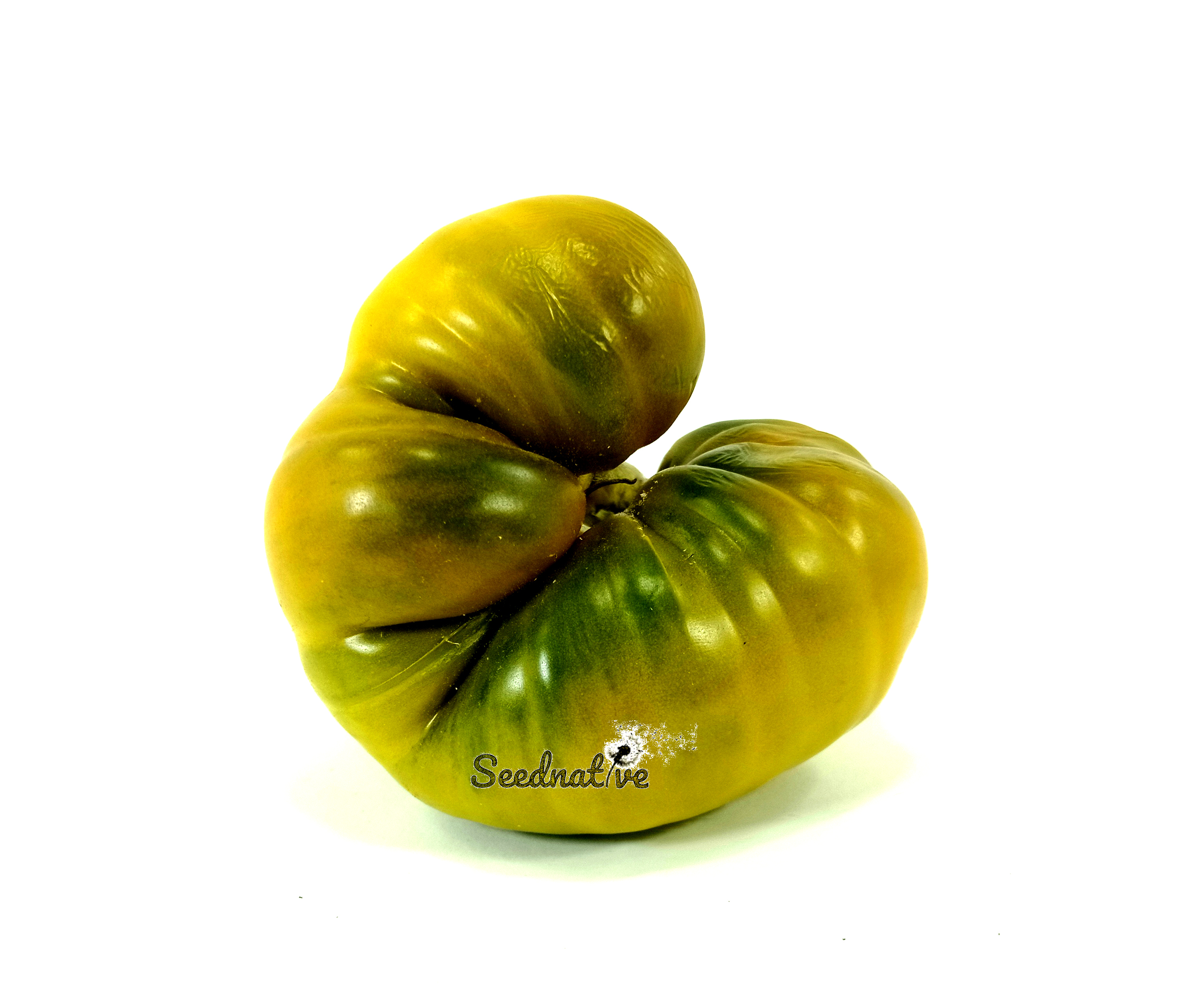 Tomate Siempreverde - 25 semillas - var. tomate antiguo - Tasty Evergree