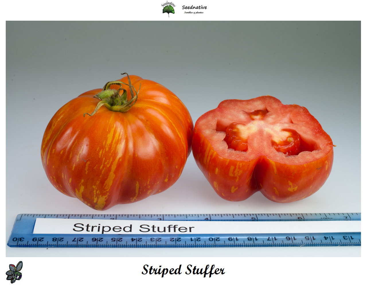 Tomate Striped stuffer - Var. Especial - 30 semillas