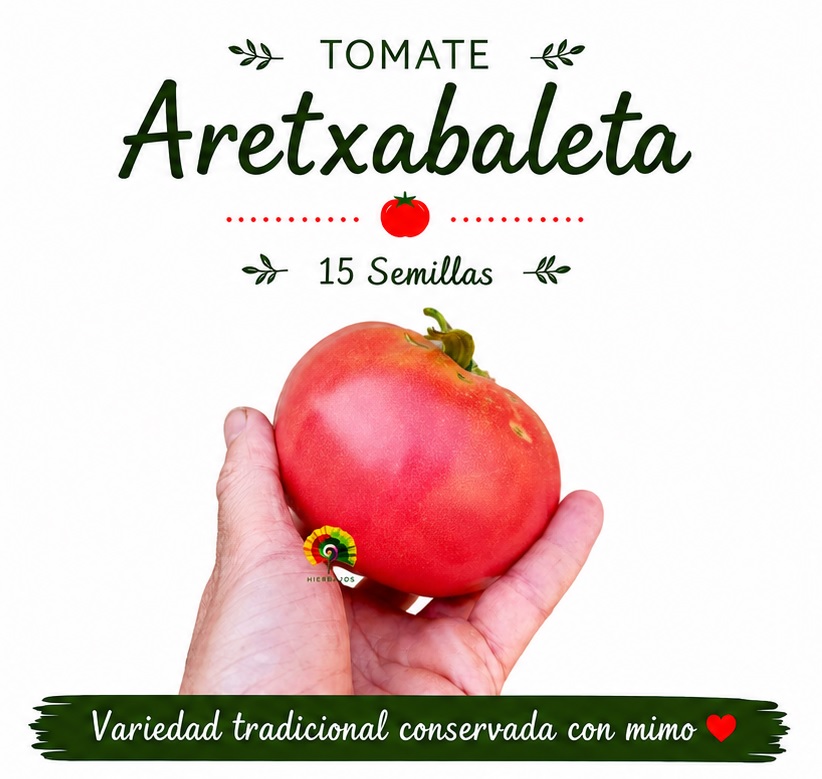 Tomate Aretxabaleta - 15 semillas 