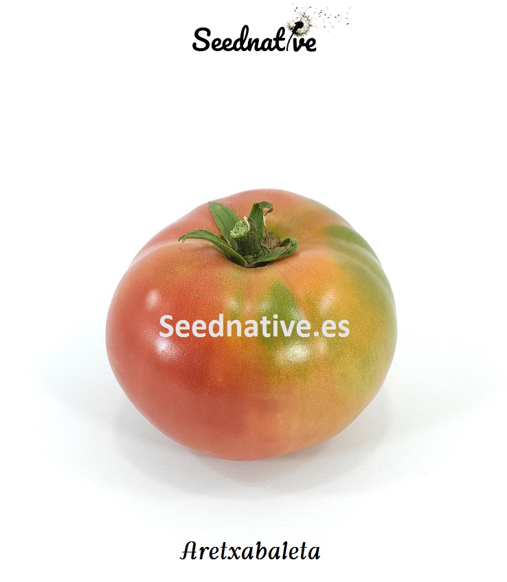 Tomate Aretxabaleta - 10 semillas 