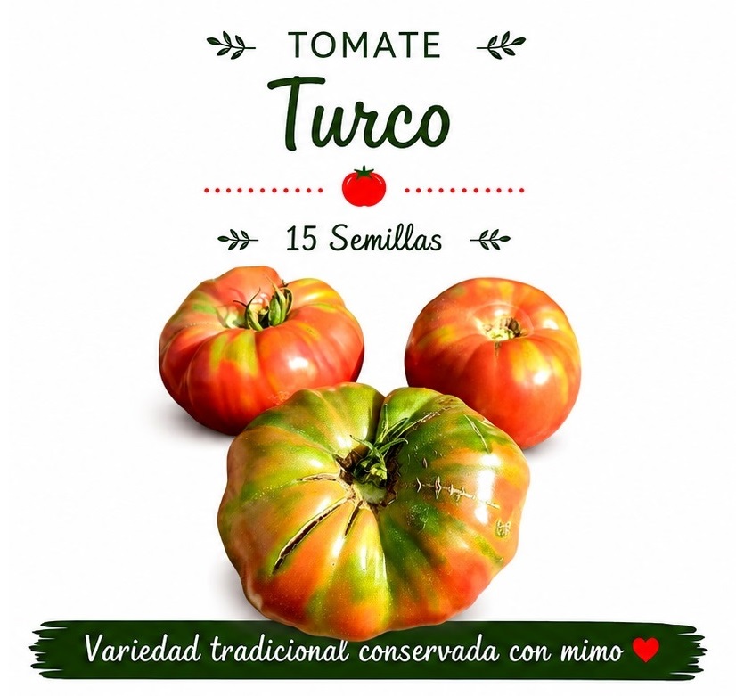 Tomate Turco - 15 semillas 