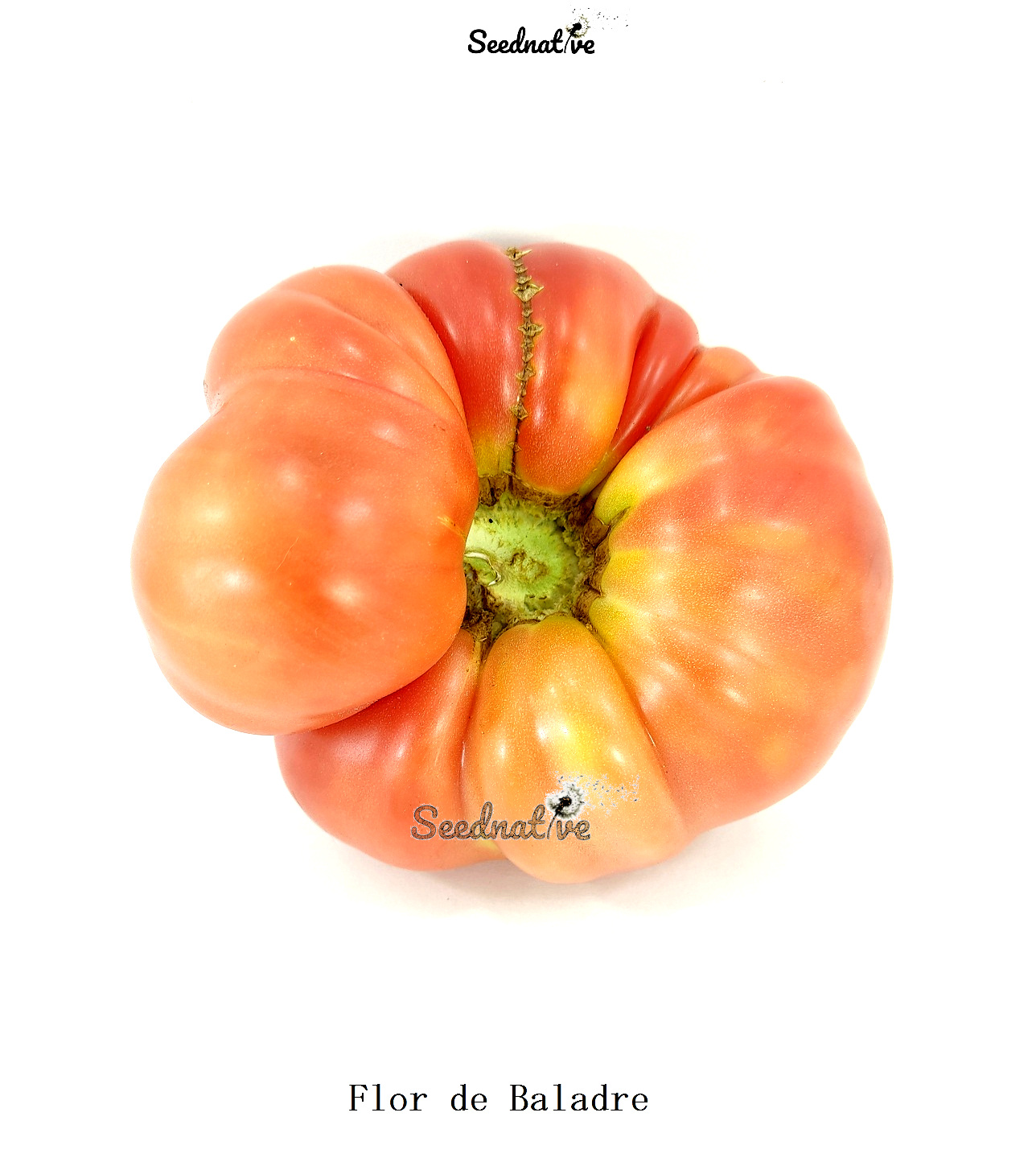 Tomate Flor de Baladre - 20 semillas - var. tomate antiguo