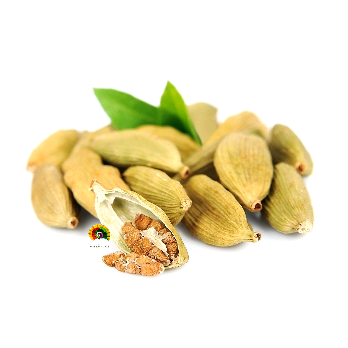 Elettaria cardamomum - Cardamomo - 10 semillas