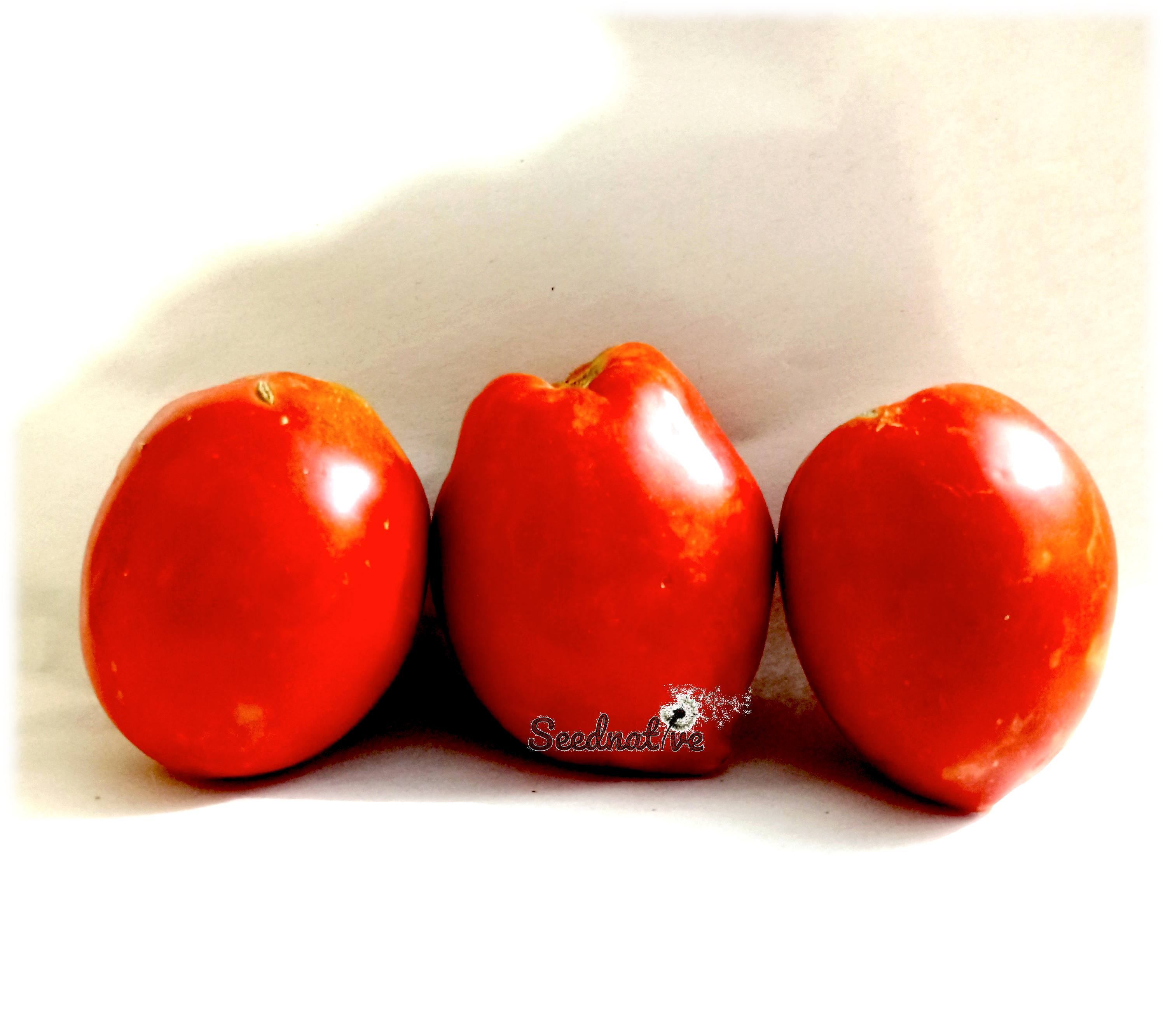 Tomate Fresa - 25 semillas - var. tomate antiguo