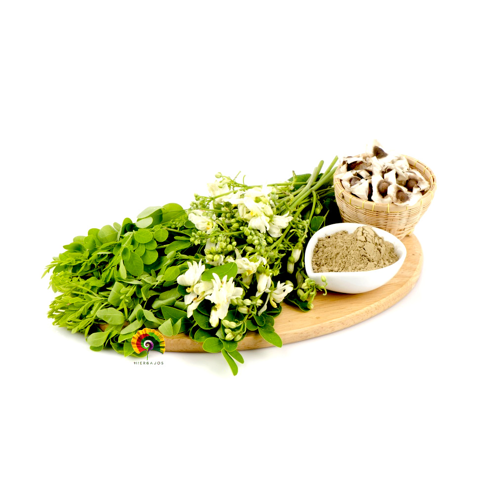 Moringa Oleifera - Moringa - 25 semillas