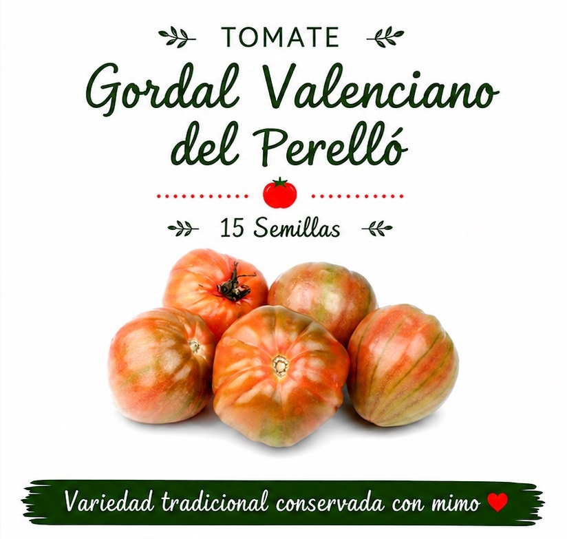 Tomate Gordal Valenciano Del Perelló - 15 semillas
