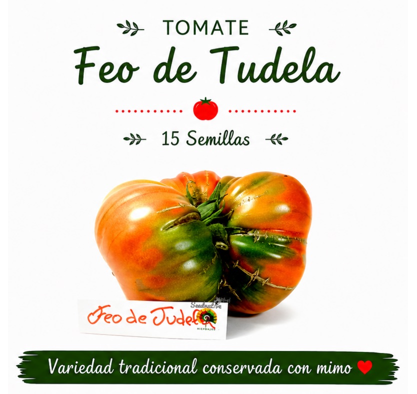 Tomate Feo de Tudela - 15 semillas 