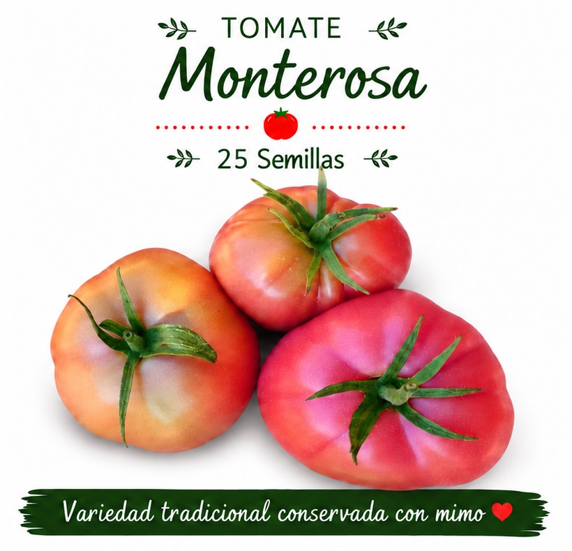 Tomate Monte rosa - 25 semillas