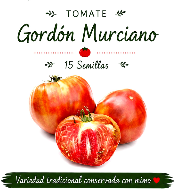 Tomate Gordón Murciano - 15 semillas 