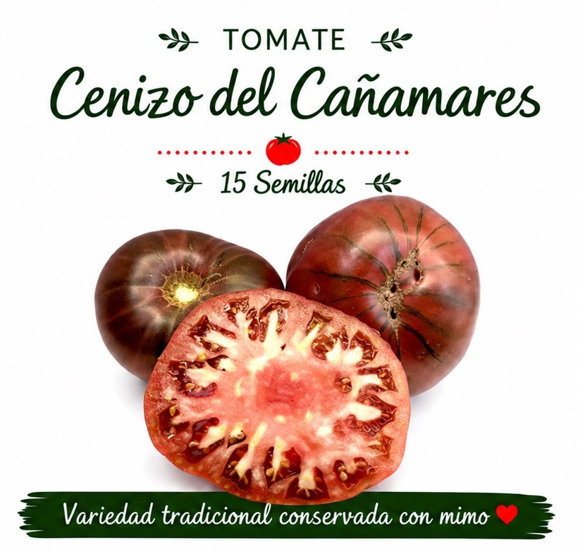 Tomate Cenizo del Cañamares - 15 semillas 