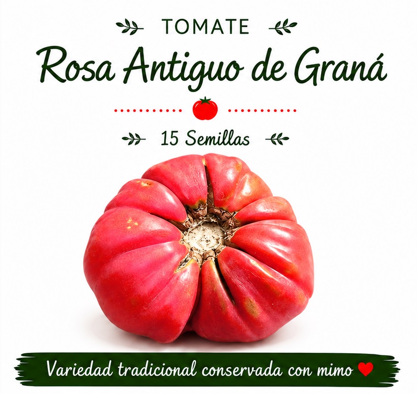 Tomate Rosa Antiguo de Graná - 15 semillas