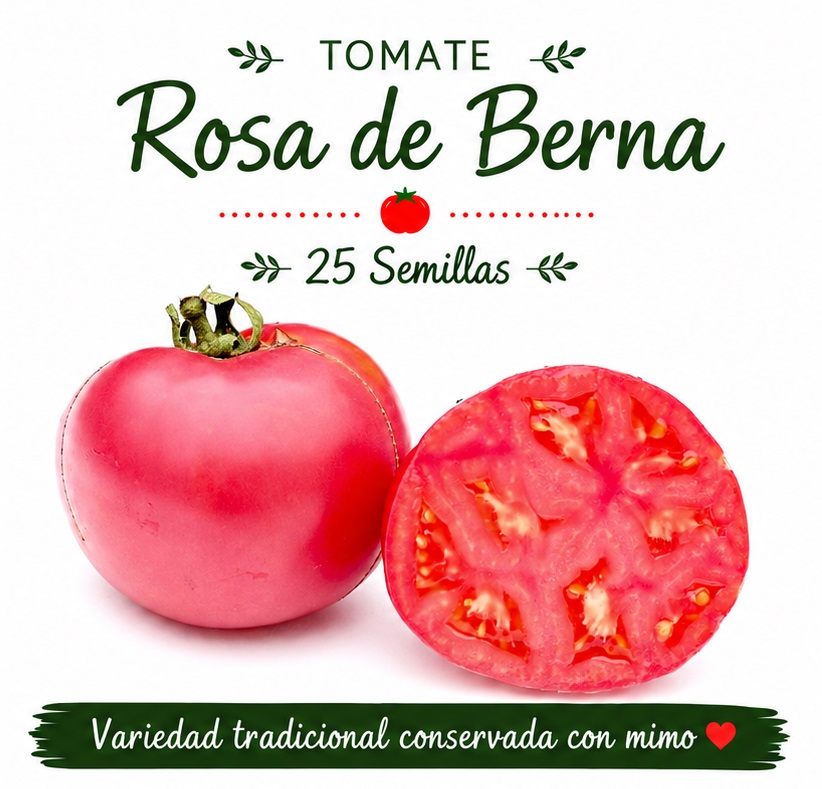 Tomate Rosa de Berna - 25 semillas