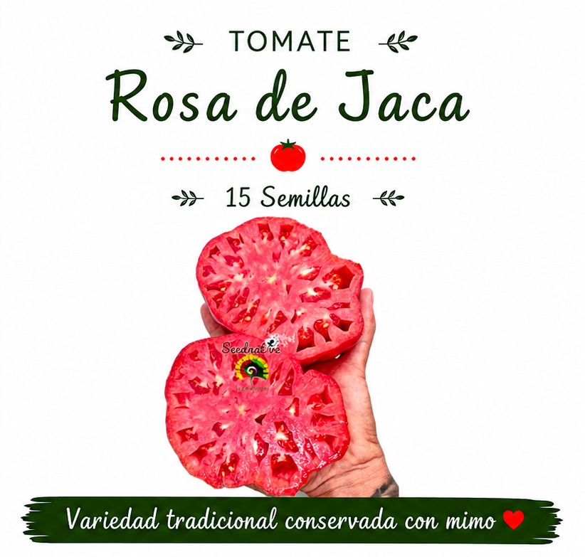 Tomate Rosa de Jaca - 15 semillas