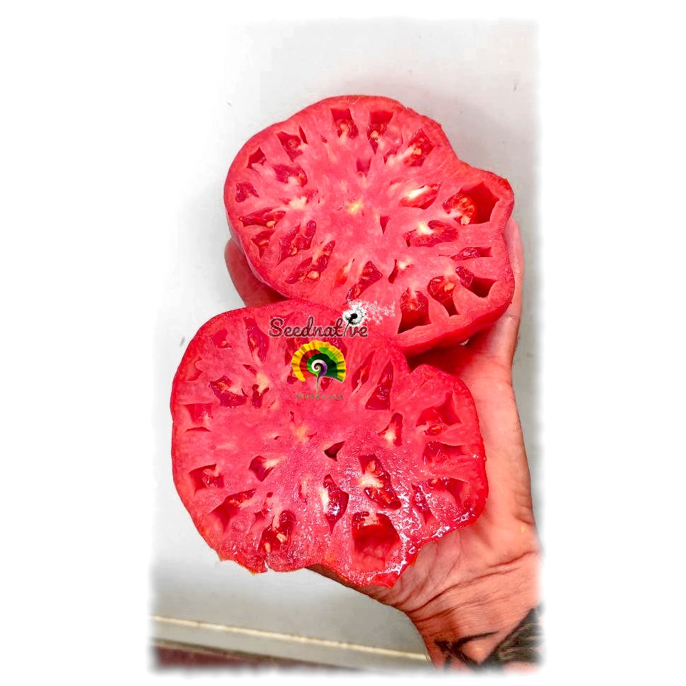 Tomate Rosa de Jaca - 20 semillas