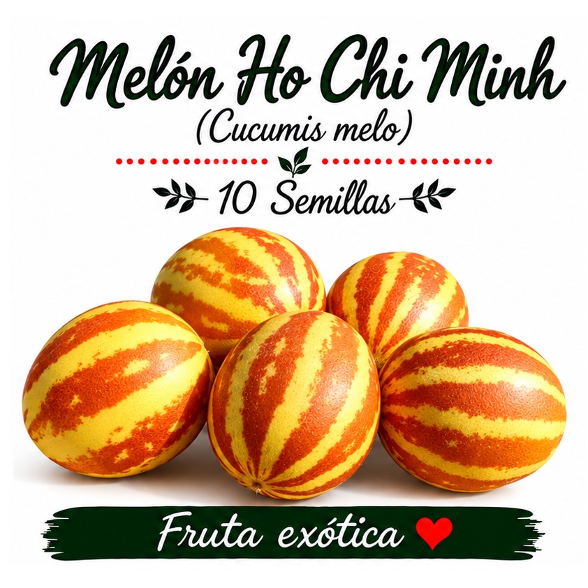 Melón Ho Chi Minh - Cucumis melo - 10 semillas 