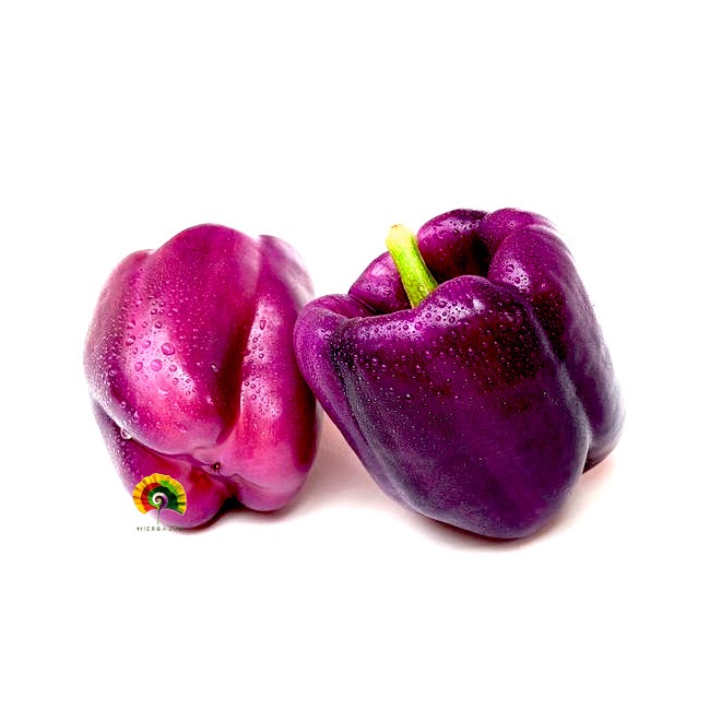 Pimiento Dulce Oda - 100 semillas
