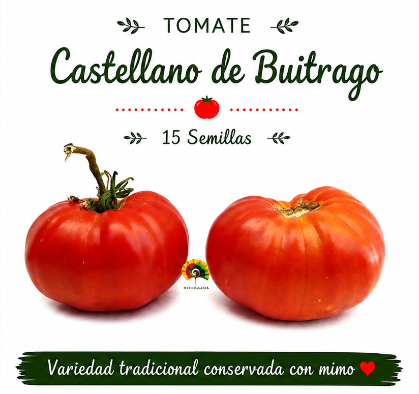 Tomate Castellano de Buitrago - 15 semillas