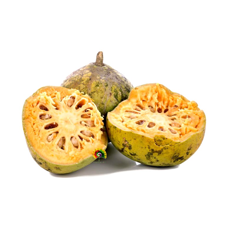 Aegle marmelos - Manzano de Bengala - 10 semillas