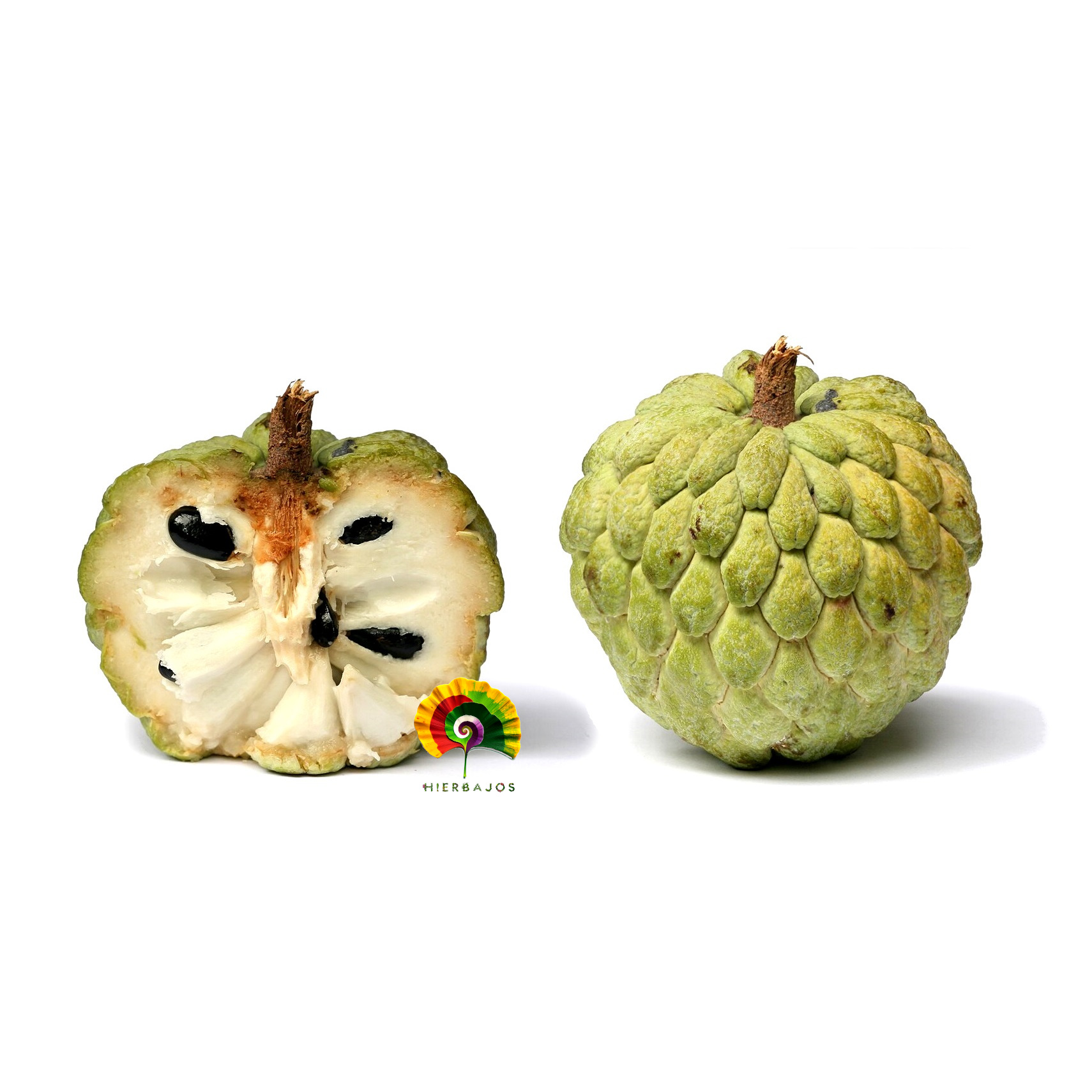 Annona squamosa - Anona - 10 semillas