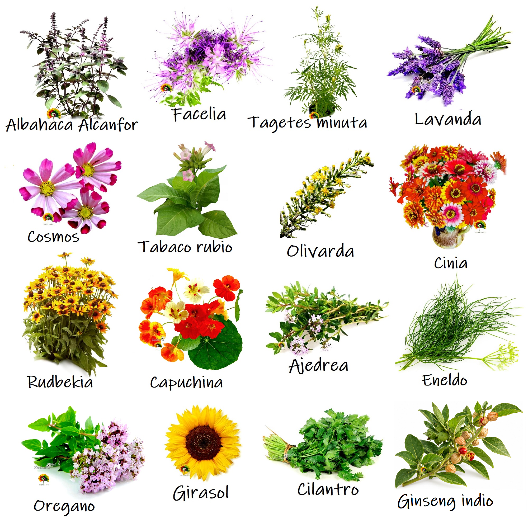 Protectoras de la Huerta - Pack de Semillas Auxiliares de la Huerta