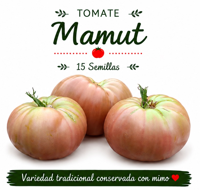 Tomate Mamut - 15 semillas