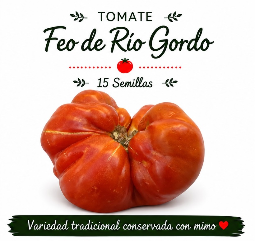 Tomate Feo de Río Gordo - 15 semillas