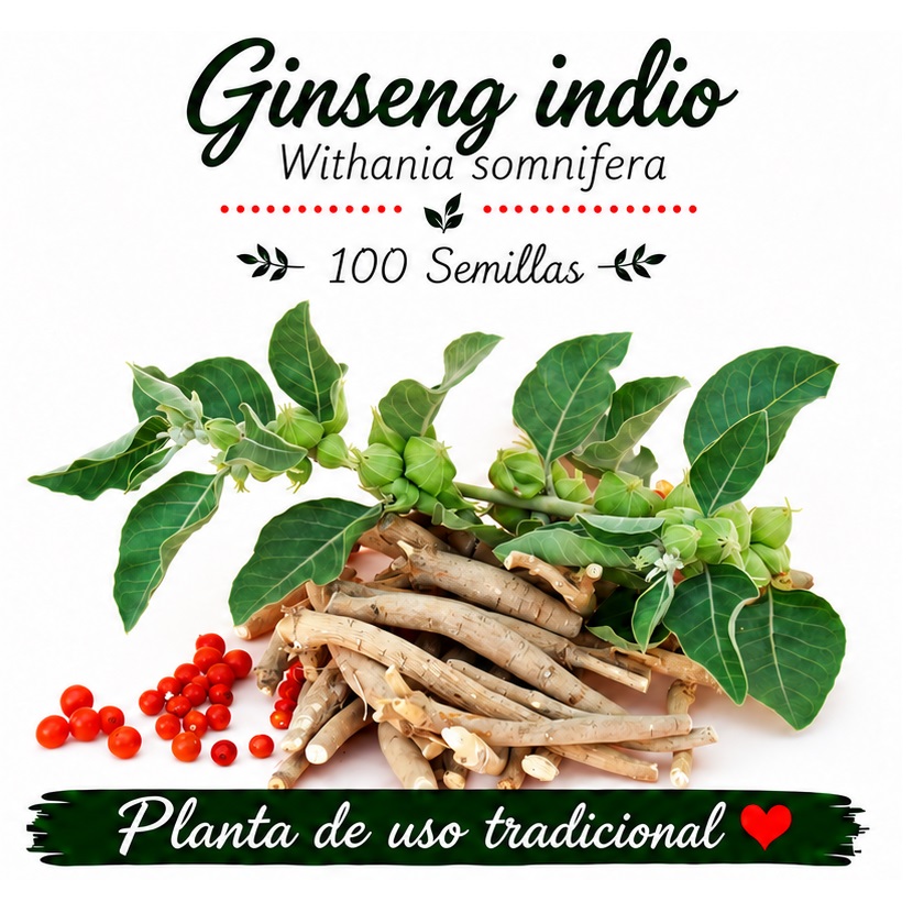Withania somnifera - Ashwagandha - 100 semillas