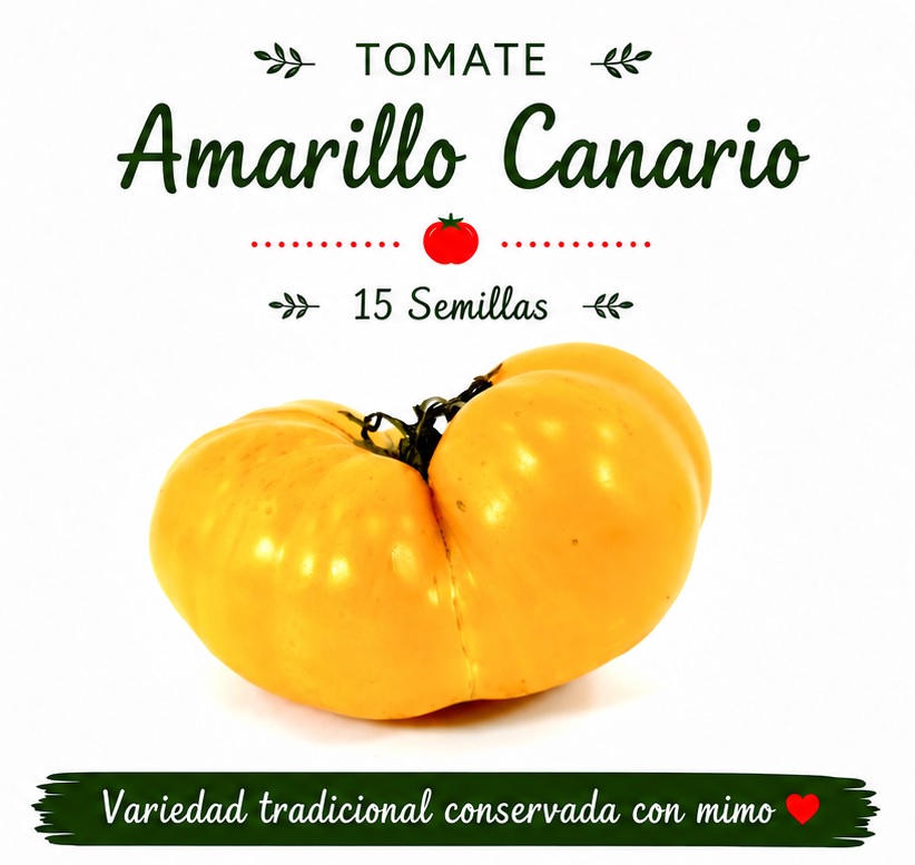 Tomate Amarillo Canario - 15 semillas 