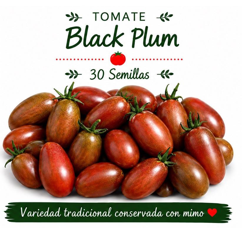 Tomate Ciruela negra - 30 semillas - Black Plum