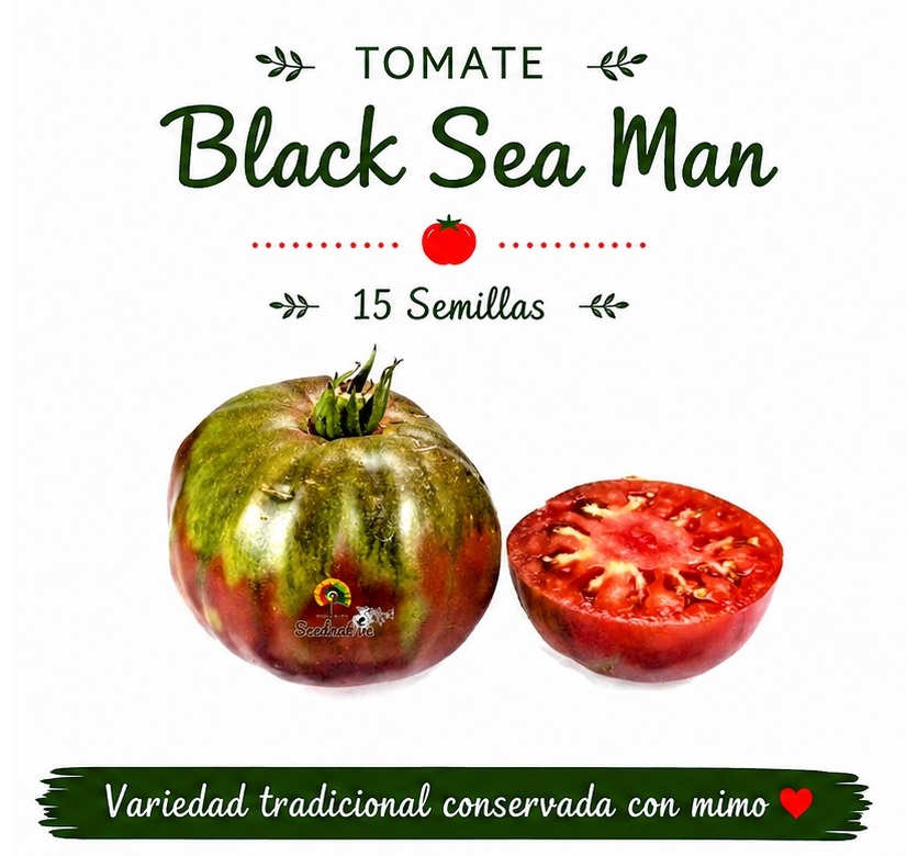 Tomate Black Sea Man - 15 semillas