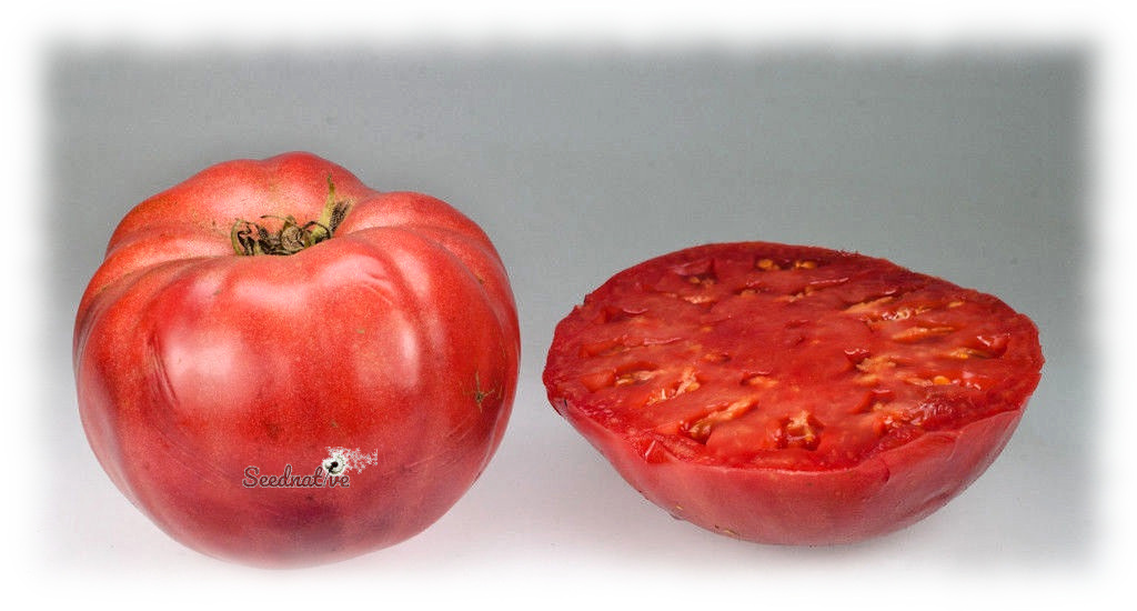 Tomate Crnkovic Yugoslavian - 15 semillas