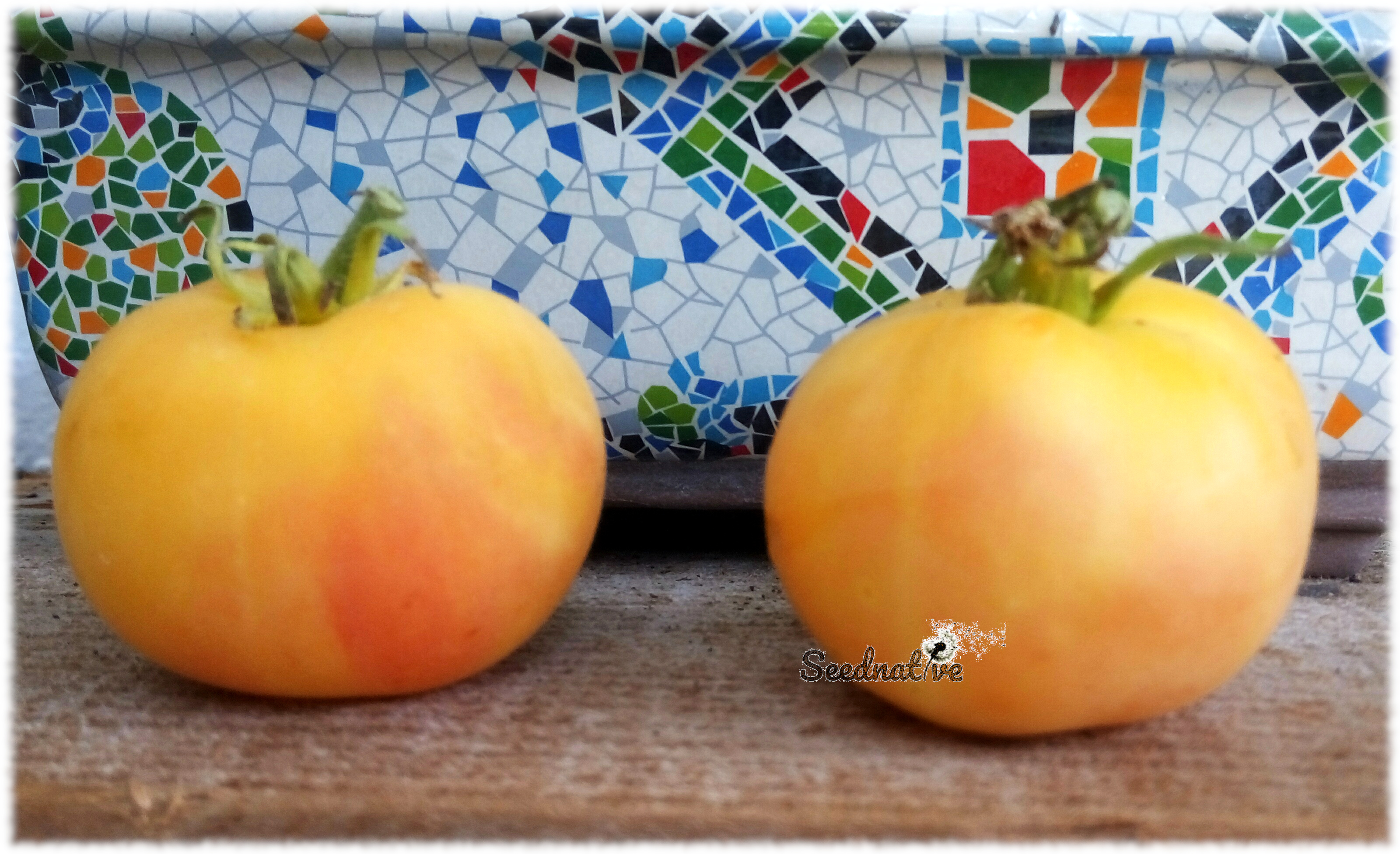 Tomate Melocotón - 30 semillas - Garden Peach