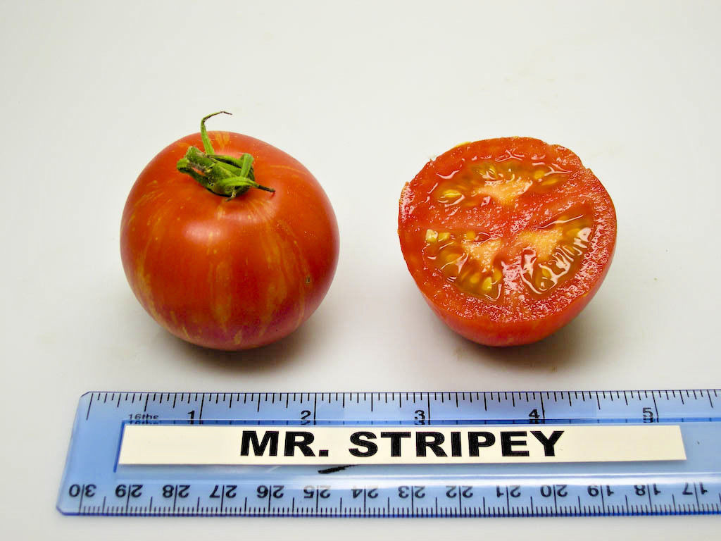 Tomate Mr. stripey - 30 semillas