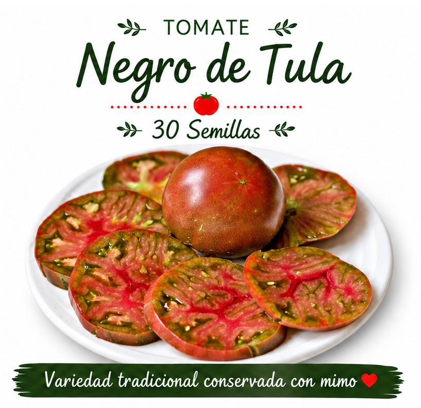 Tomate Negro de Tula - 30 semillas