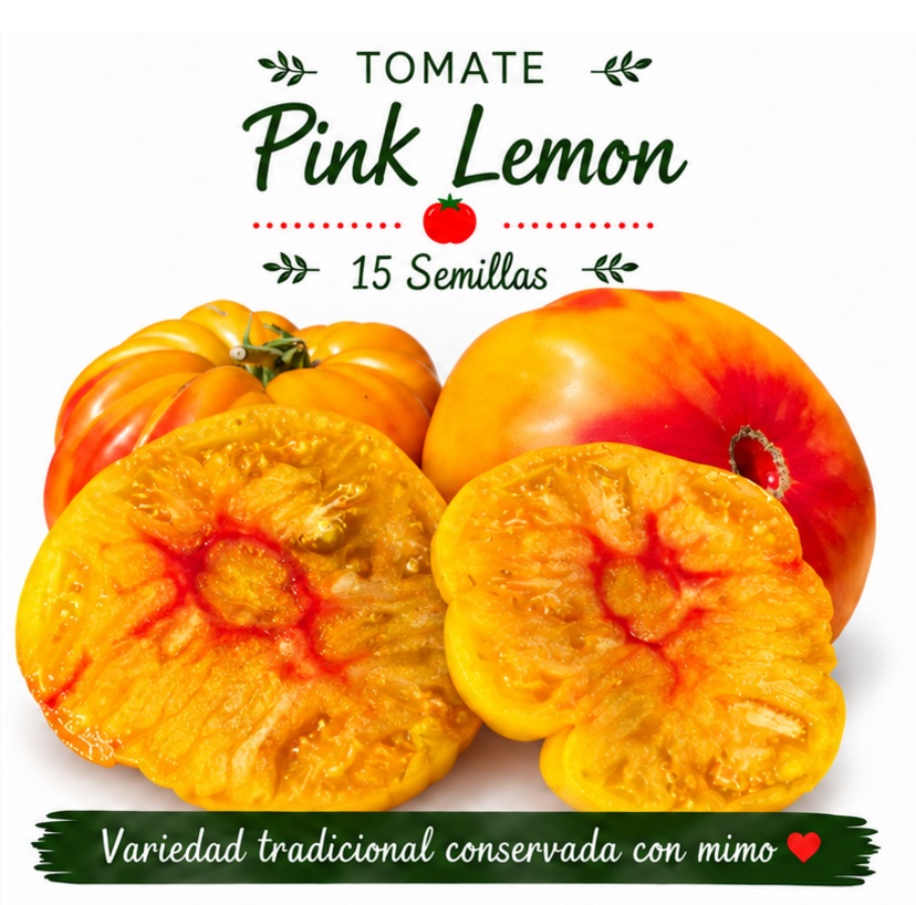 Tomate Pink Lemon - 15 semillas