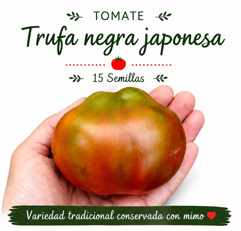 Tomate Trufa Negra Japonesa - 15 semillas