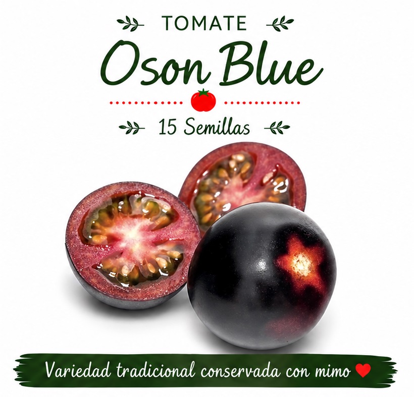 Tomate Oson blue - 15 semillas