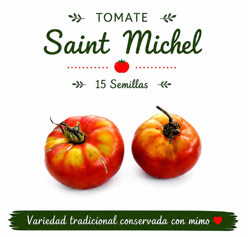 Tomate Saint Michel - 15 semillas