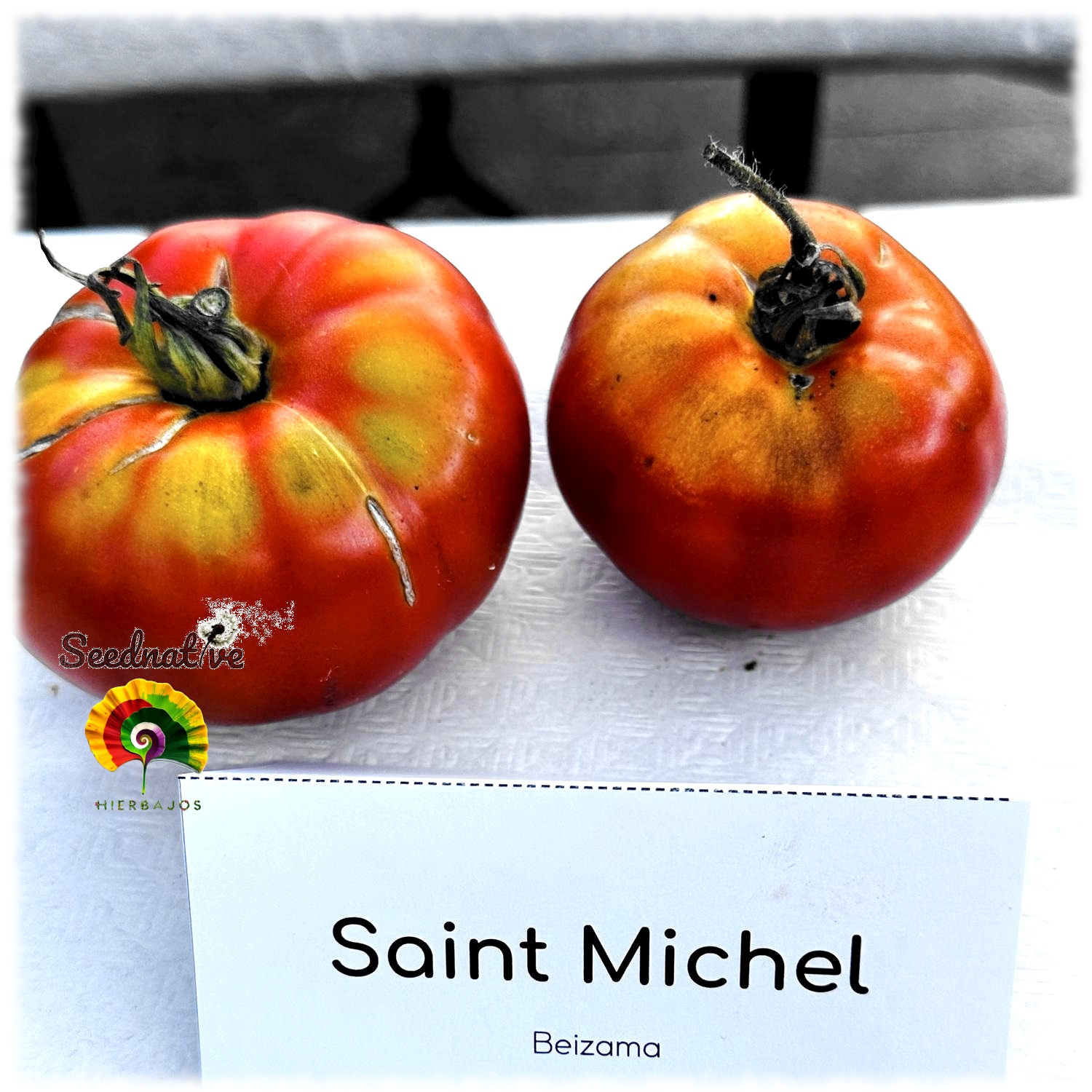 Tomate Saint Michel - 25 semillas