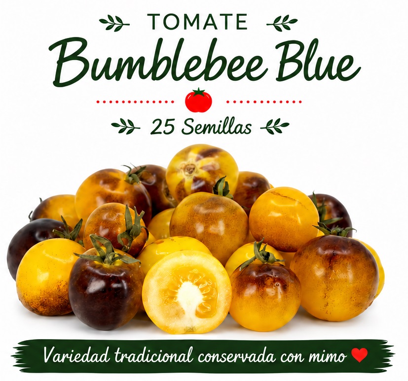 Tomate Bumblebee blue - 25 semillas